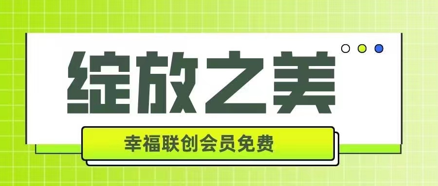 绽放之美